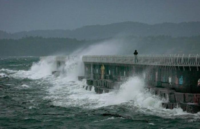 Es probable que se produzcan cortes de energía a medida que se forma un ‘ciclón bomba’ frente a la costa de Columbia Británica, dice un meteorólogo