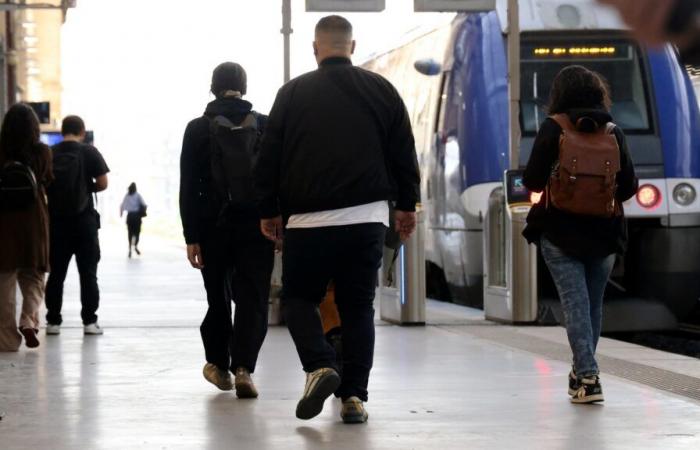 ¿Qué perturbaciones ocurren en los trenes TGV y TER en Provenza?