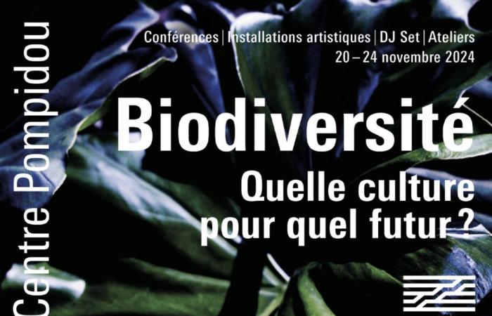 “Foro sobre Biodiversidad: ¿qué cultura para qué futuro? » , el Centro Pompidou se transforma