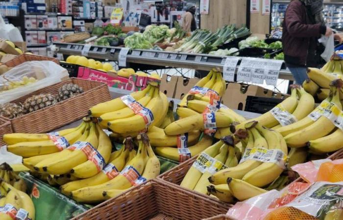 Pont-à-Mousson. Por qué Intermarché suspende la venta de fresas y cerezas este invierno