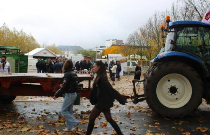 Agricultores apoyados en sus demandas.