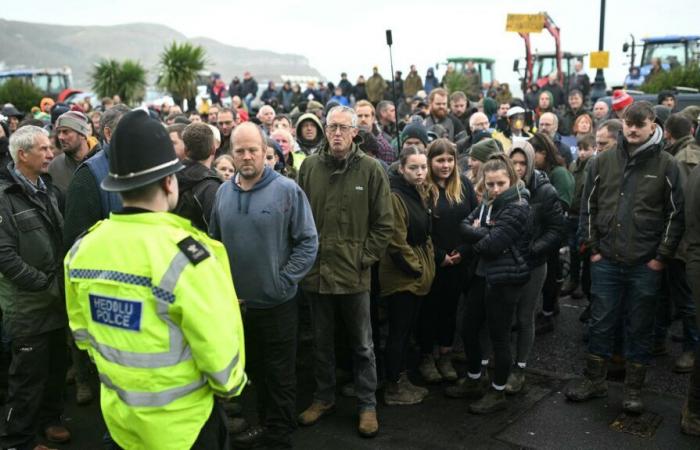 En Londres, los agricultores se movilizan contra el aumento del impuesto a la herencia