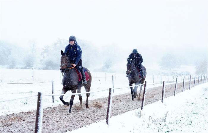 El Reino Unido tiembla ante la llegada de la nieve