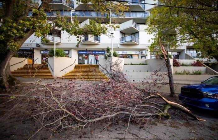 Es probable que se produzcan cortes de energía a medida que se forma un ‘ciclón bomba’ frente a la costa de Columbia Británica, dice un meteorólogo