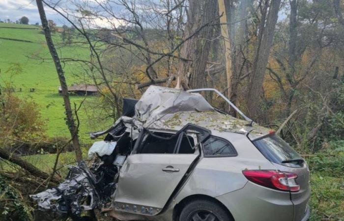 Ródano. Violento viaje por carretera: un cuarentón del Ródano pierde la vida en Roannais