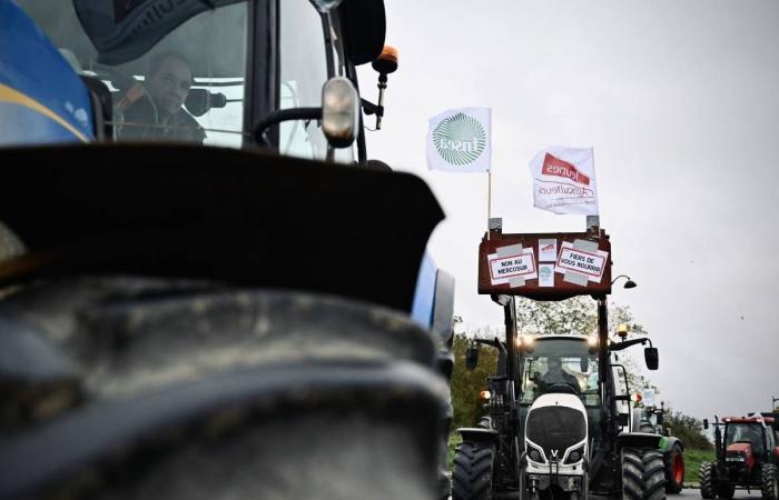 EN VIVO – La rotonda de Moulins bloqueada por una decena de tractores… Siga la movilización de los agricultores en Cher