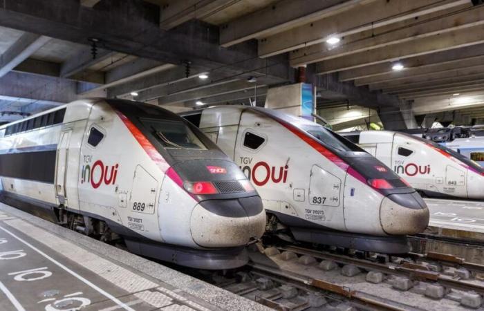 El tráfico será “casi normal en los TGV” el jueves, algunas líneas regionales interrumpidas