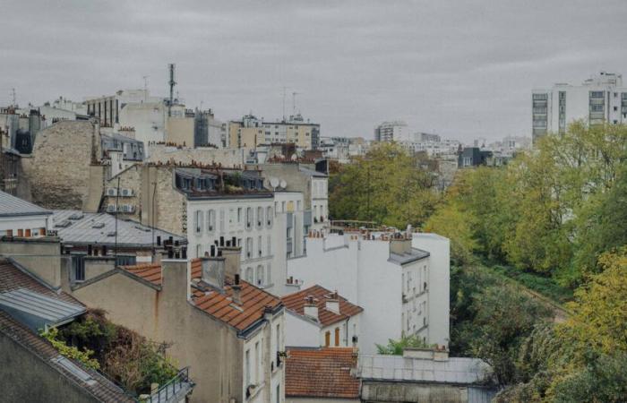 En París, un nuevo plan urbanístico local para “pasar de una ciudad con jardines a una ciudad jardín” – Libération