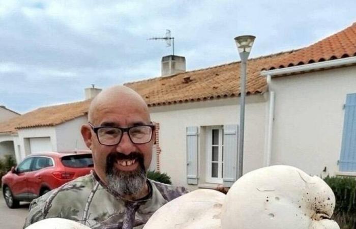 Setas gigantes recolectadas en Vendée