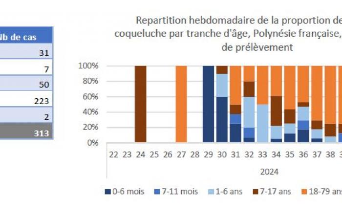 La epidemia continúa, se registra una primera muerte • TNTV Tahiti Nui Télévision