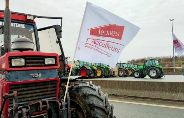 Ira de los agricultores: baguettes de pan sin origen descubiertas en un camión, según la FDSEA de Oise