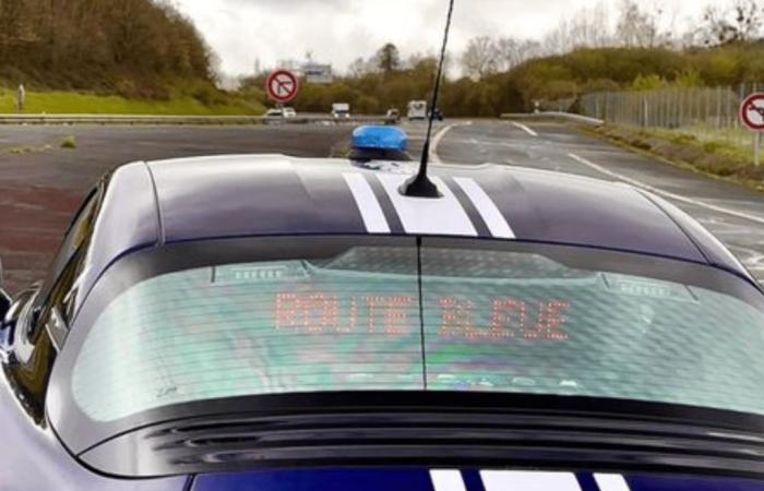 Acelerado a 219 km/h al volante de su Tesla, se niega a obedecer a la policía