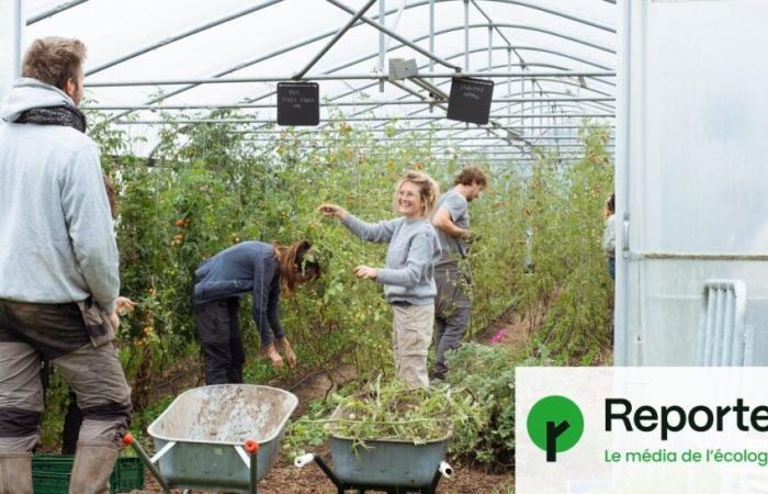 Para fortalecer la agricultura campesina, voluntarios belgas se hacen cargo de los campos