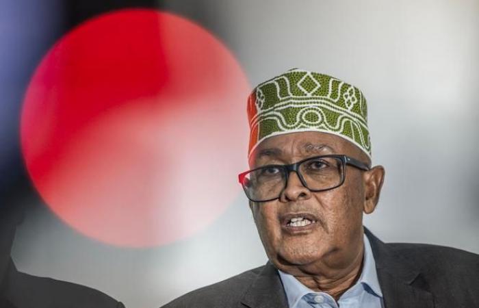 El opositor Abdirahman Mohamed Abdullahi, conocido como “Irro”, elegido presidente de Somalilandia