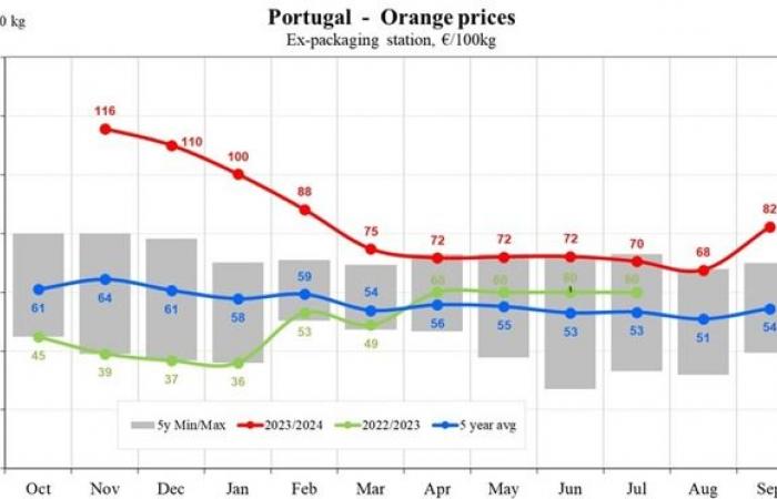 Los precios de las naranjas en la UE cayeron un 9,24% en septiembre