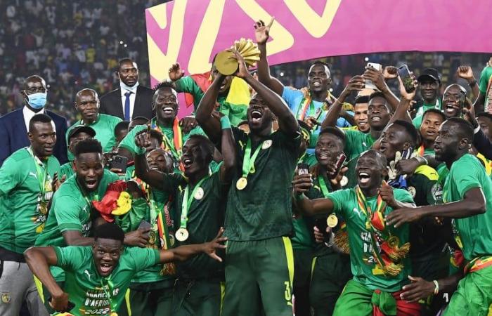 Aquí están los 24 países clasificados para la Copa Africana de Naciones 2025