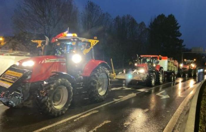 Los tractores arrojan estiércol frente a la prefectura de las Ardenas.