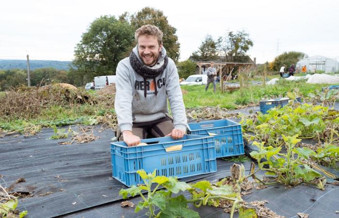 Para fortalecer la agricultura campesina, voluntarios belgas se hacen cargo de los campos