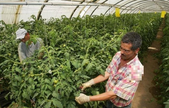 Las ventas están cayendo, los agricultores al final del túnel.