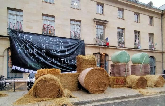 Paja y paneles colocados cerca de la Place Stanislas.