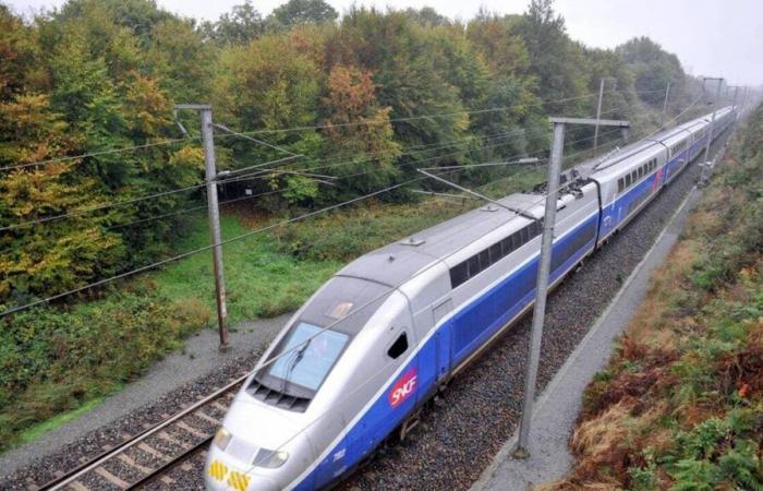 Tráfico “casi normal” en los TGV el jueves, algunas líneas regionales interrumpidas