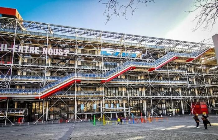 Manifiesto de la Naturaleza: una experiencia sonora inmersiva de Björk & Aleph en el Centro Pompidou