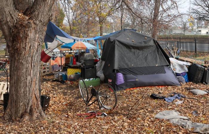 Itinerancia | Indulto para el campamento de la calle Notre-Dame