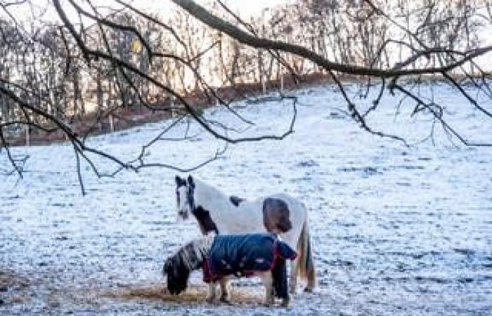 El tiempo en el Reino Unido en vivo: el caos en los viajes y el cierre de escuelas aumentan mientras se espera que caigan hasta 15 cm más de nieve