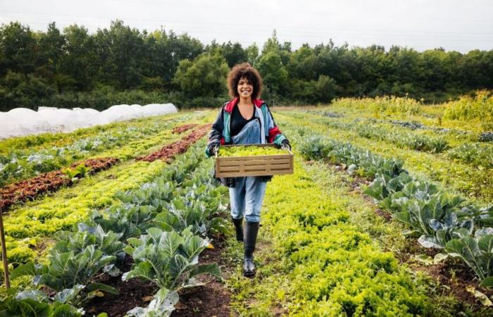 La Cámara de Agricultura de Dordoña ofrece ofertas de adquisición de explotaciones agrícolas