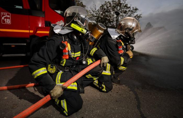 Cerca de Ancenis, una mujer de 69 años muere en un incendio en su casa