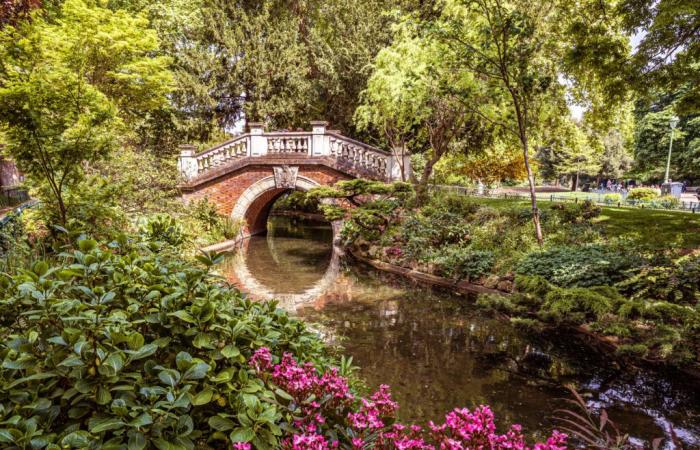 Fuertes vientos en París: cierre de parques, jardines y cementerios este martes