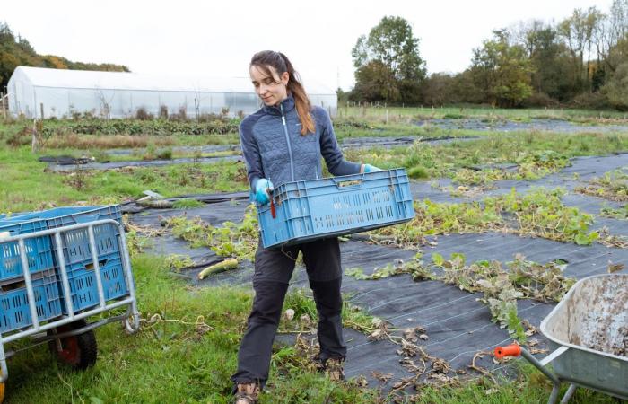 Para fortalecer la agricultura campesina, voluntarios belgas se hacen cargo de los campos