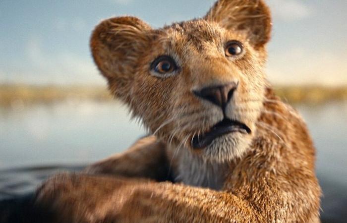 El tráiler final de ‘Mufasa: El Rey León’ presenta una aventura épica: Míralo aquí