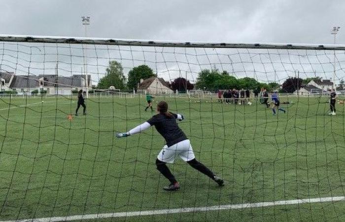 Fútbol femenino: un equipo de Toulouse presenta una denuncia por insultos racistas y sexistas durante un partido