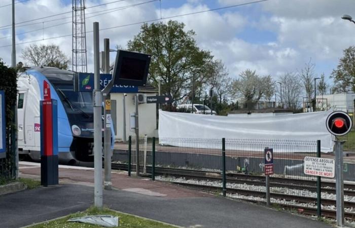 Equipado con un cuchillo, avanza sobre las vías del tren y amenaza con suicidarse.