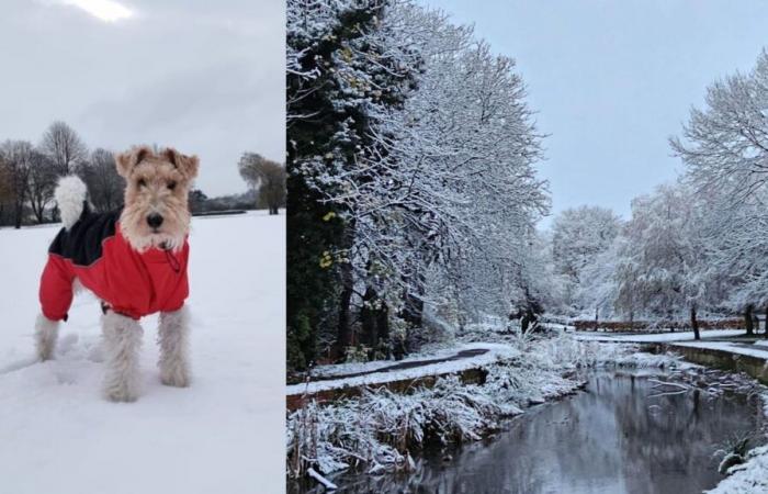 En imágenes: las mejores fotografías de los espectadores mientras la nieve llega a las Midlands