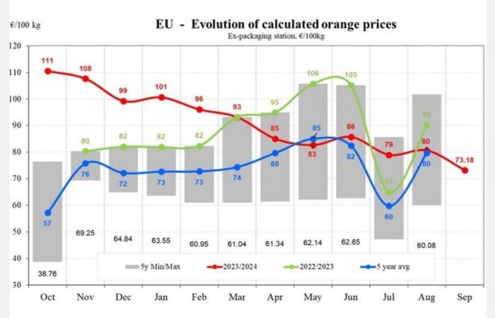 Los precios de las naranjas en la UE cayeron un 9,24% en septiembre