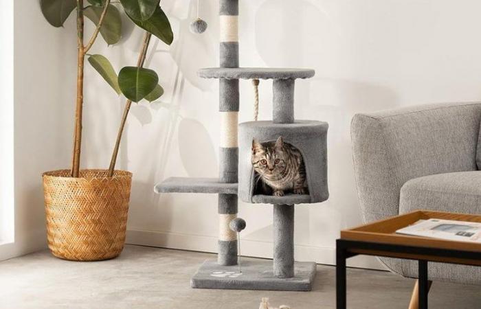 No te pierdas este árbol para gatos con descuento en el sitio de Amazon ahora mismo