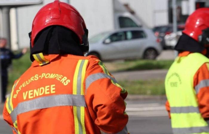 Atropellada por un coche, una joven de 15 años gravemente herida y trasladada en avión a Vendée