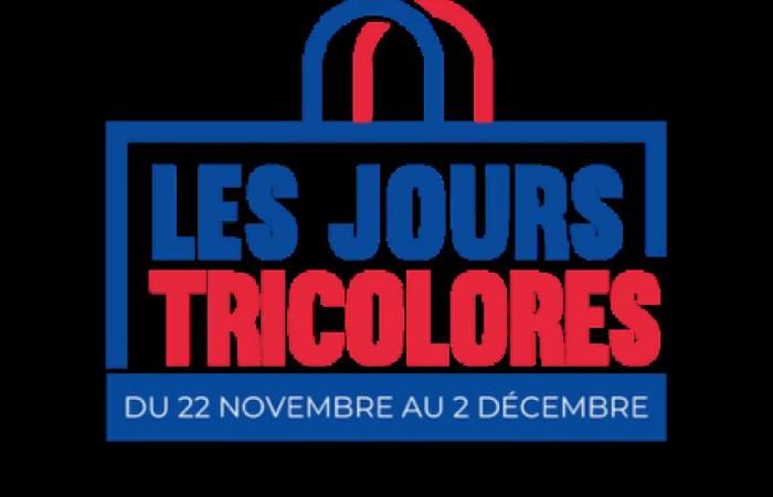 Contra el Black Friday, jornadas tricolores – Imagen