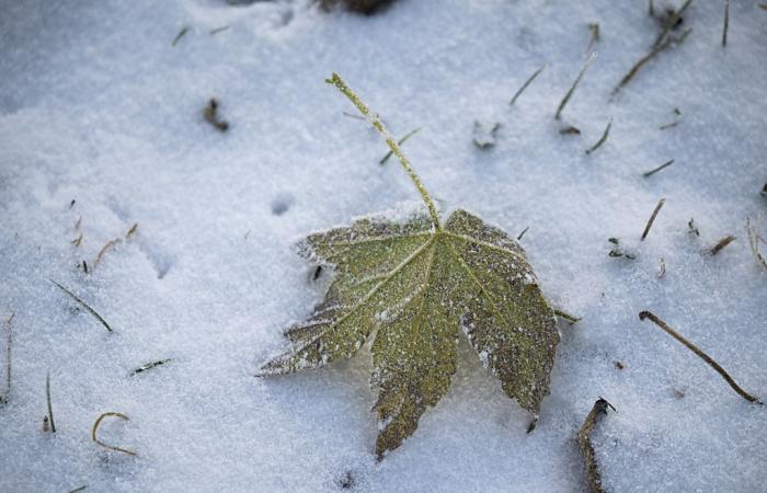 Se esperan las primeras nevadas en las llanuras el miércoles