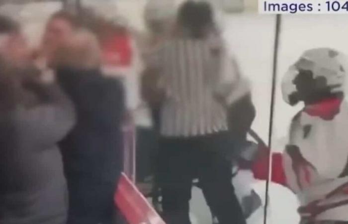 EN VÍDEO | Pelea en las gradas y 300 minutos de penaltis: un partido de hockey degenera en Gatineau