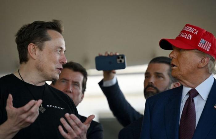 La relación entre Donald Trump y Elon Musk molesta a algunos cercanos al nuevo presidente de Estados Unidos