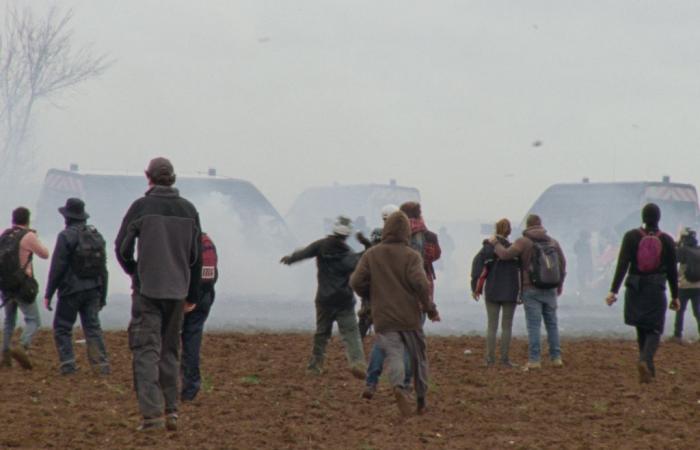 “Acción Directa”, una experiencia cinematográfica fascinante en la ZAD de Notre-Dame-des-Landes