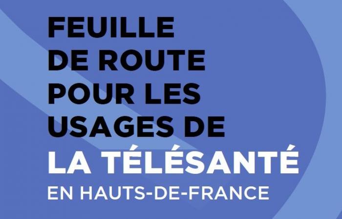 ARS Hauts-de-France publica una hoja de ruta para los usos de la telesalud en Hauts-de-France