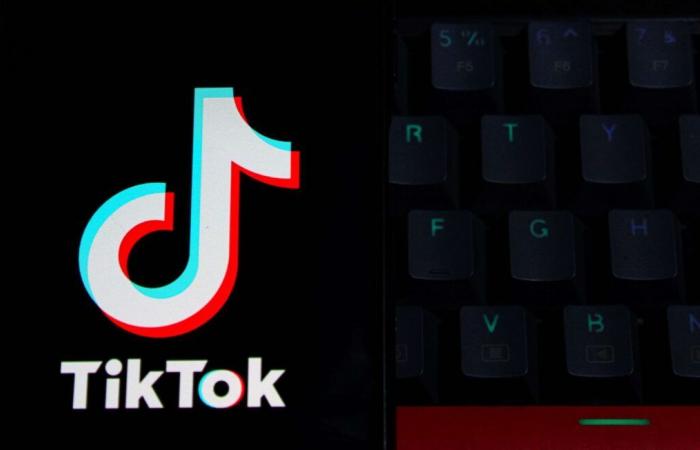 Vídeos en TikTok, propietario de una cafetería condenado por invasión de la privacidad