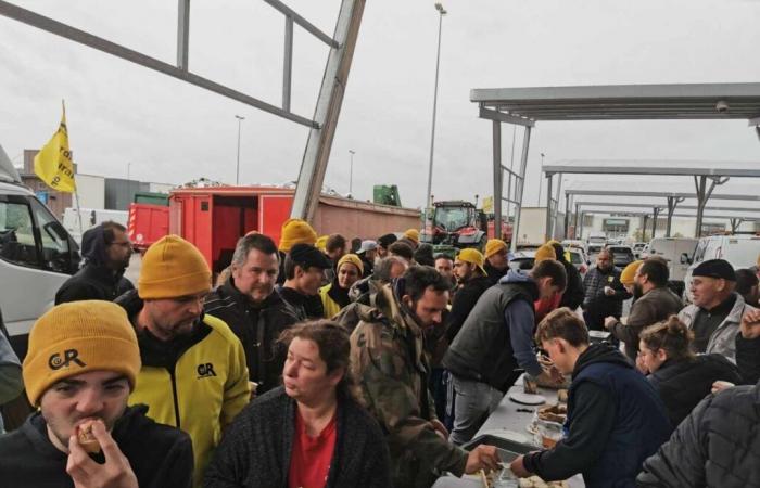 Directo. Agricultores enojados de Nouvelle-Aquitaine convergen en Gironda, siguen la situación cerca de Burdeos