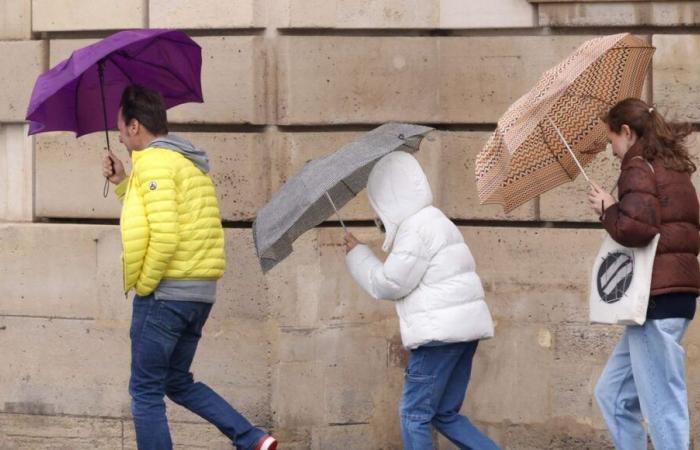 Alerta meteorológica: Viena y Deux-Sèvres en alerta naranja por vientos violentos