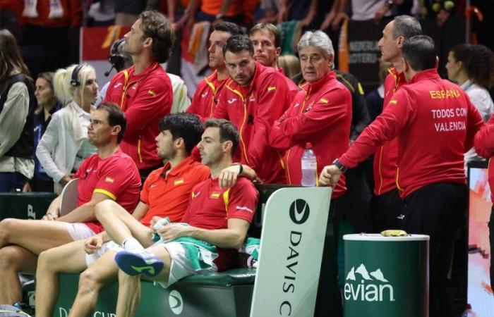 Copa Davis, El blog del editor > David Ferrer, ¡responsable pero no culpable!