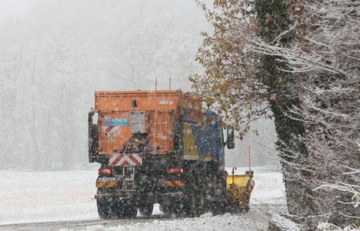 Nieve: se esperan hasta 20 centímetros en las llanuras de Alsacia